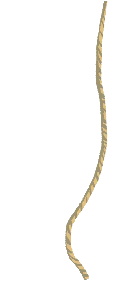 ロープ